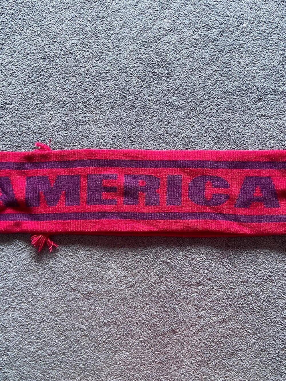 American Eagle Red & Purple Scarf
